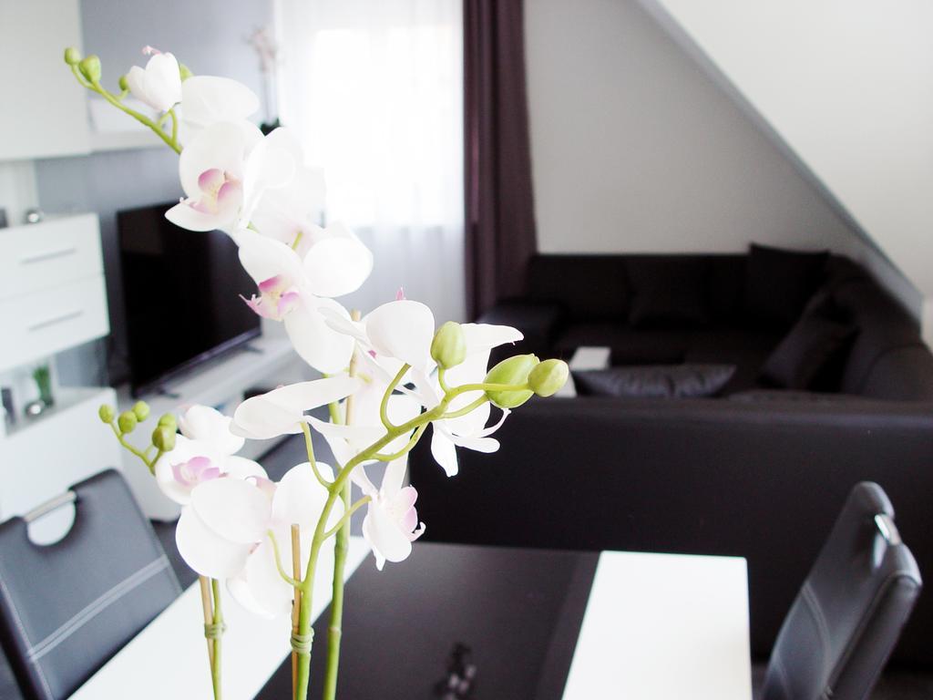 Апартаменти La Domus Premium Osnabrueck Lotte Екстер'єр фото